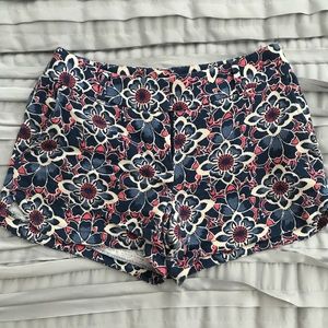 Ann Taylor LOFT Shorts